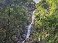 -姑婆山旅游区