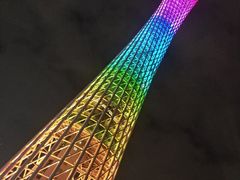 -广州都市观光巴士(粤陶巴)