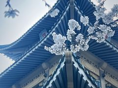 -东湖听涛景区
