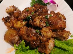 -福苗小骆驼烧烤(大唐不夜城店)