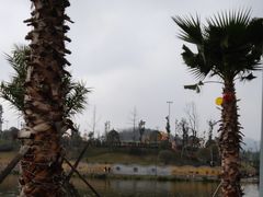 -枫香湖儿童公园