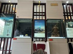 -天猫养车贴膜轻改·蓝电(优匹康桥东路店)