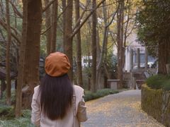 -杭州城中香格里拉大酒店