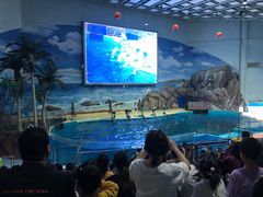-福州罗源湾海洋世界旅游区
