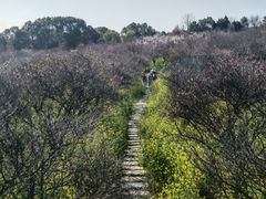 -凤凰沟景区