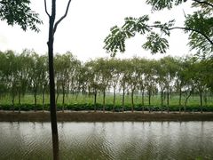 -西青郊野公园