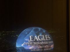 -拉斯维加斯永利酒店