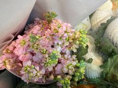 -循礼门鲜花花市(武汉循礼门店)