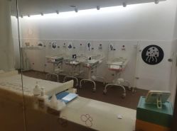 -海豚湾高端月子会所(黄浦店)