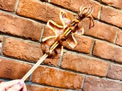 -老姑砂锅·烧烤天津菜(体北道店)