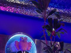-108·公社·创意餐厅·LIVE HOUSE(李公堤店)