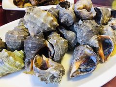 -高佳庄·舟山海鲜(海景旗舰店)