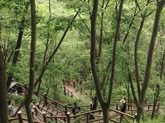 -大岭沟猕猴桃谷风景区