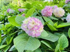 -常州古运河南大街文化旅游区-人民公园