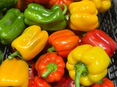 -银座商城(东城店)