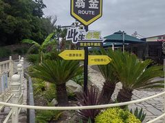 -平湖九龙山旅游度假区