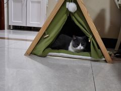 -猫宠乐园·专业洗护