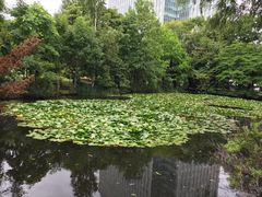 -北海道厅旧本厅舍(旧本庁舎)