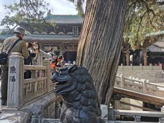 -晋祠公园