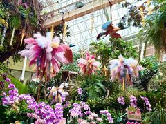-正佳雨林生态植物园