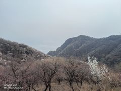 -阳台山自然风景区