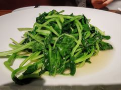 清炒鸡毛菜-金枝玉叶上海人家食府(三里河店)