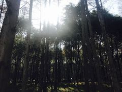 -同里国家湿地公园