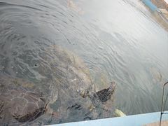 -硇洲岛旅游区