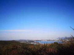 -香雪海