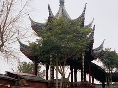 -召稼楼古镇