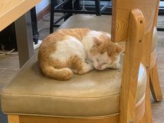 -WATER CAFE(广厦店)