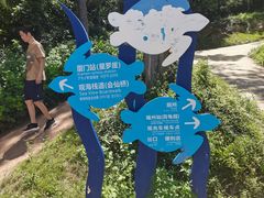 -广东惠东海龟国家级自然保护区