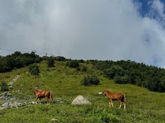 -灵山