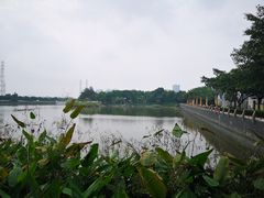 -黄埔古港