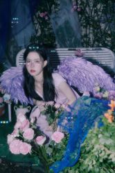 -WAVE SODA摄影工作室