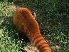 -杭州少年儿童公园