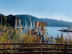 -千岛湖品鱼馆(钓鱼岛店)