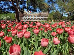 -长春公园(普阳街道)