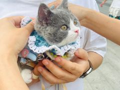-伟伟宠物医院·CT影像中心·瑞派犬猫综合性门诊(汉口总院)