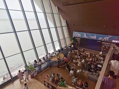 -抱抱地球咖啡馆(国家海洋博物馆店)