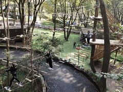 -WeLope紫金山探险公园