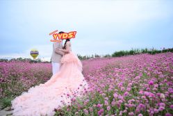 点击看大图 -金夫人婚纱摄影(华南店)