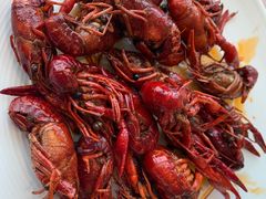 -视界美食自助餐厅·石家庄希尔顿酒店