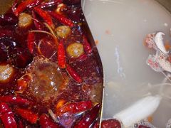 -欠火锅·水牛毛肚·团建聚餐·生日宴(何山路店)