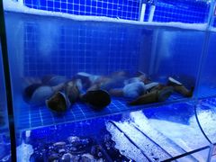 水产区-捞围鲜·港式打边炉(海阳路店)