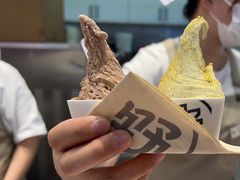 -野人先生现做冰淇淋(西安赛格店)