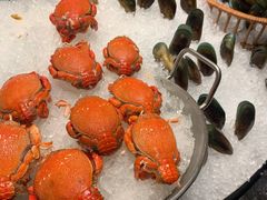 -安蒂娅·海鲜自助餐厅(安蒂娅美兰酒店)