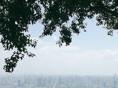 -大蜀山国家森林公园