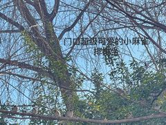 -王府井天主教堂