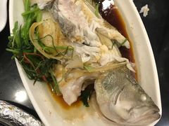 清蒸庐鱼-源记茶餐厅(凤凰店)